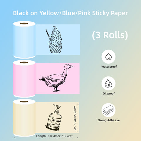 MultiLabel 20 Rolls of 250 4x6 Direct Thermal Blank Shipping Labels for Zebra 2844 Zp-450 Zp-500 Zp-505 MultiLabel 20 Rolls of 250 4x6 Direct Thermal Blank Shipping Labels for Zebra 2844 Zp-450 Zp-500 Zp-505